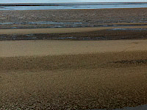 Severn Estuary Sediment